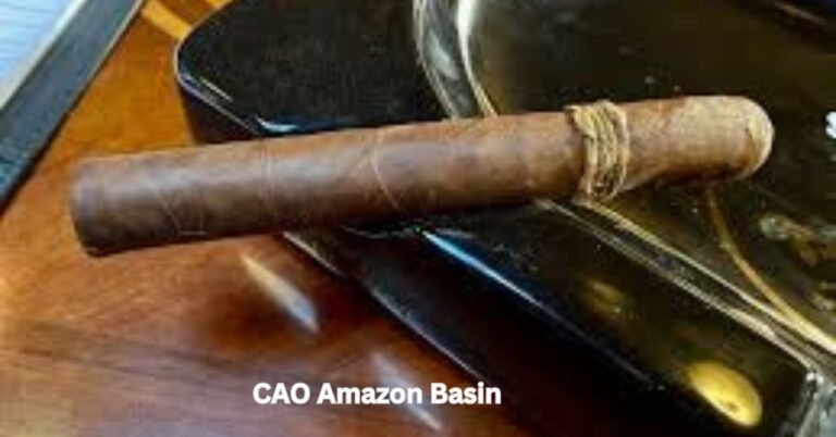 CAO Amazon Basin