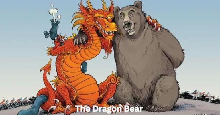 The Dragon Bear